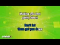 Paul Weller - Wild Wood - Karaoke Version from Zoom Karaoke