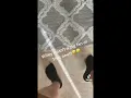 Disgusting Fart Compilation 2