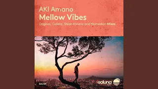 Download Mellow Vibes MP3