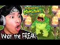 WE GOT ENTBRAT AND 10 WISHING TORCHES My Singing Monsters 2