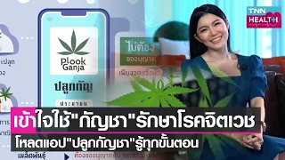 กัญชาที่ปลูกในประเทศไทยสามารถนำมาทำอาหารได้หรือไม่