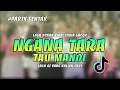 Download Lagu LAGU ACARA BASS SENTAK🌴TARA TAU MANDI🌴REMIX 2025