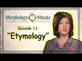 Morphology Minute Episode 11