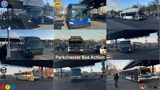 60 FPS 2026 MTA Bus Action Parkchester Bx4 Bx4A Bx11 Bx36 Bx39 Q44-SBS BxM6