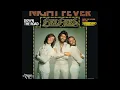 Bee Gees ~ Night Fever 1977 Disco Purrfection Version