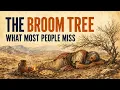 Why Elijah Wanted to Die The Detail Most Readers Miss Bible Explained