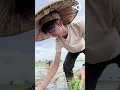 Download Lagu Sehari Jadi Petani !?!