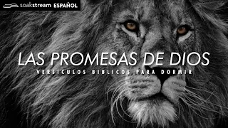 Las Promesas de Dios | Versiculos Biblicos Para Dormir