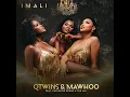 Imali (feat. Exclusive Drumz & Tee Jay) - Q Twins & Mawhoo