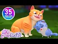 Download Lagu Meow Meow Billi Karti + 12 more Hindi Rhymes | Nursery Rhymes Hindi | Ding Dong Bells