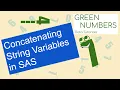 Concatenating String Variables in SAS SAS Tutorial