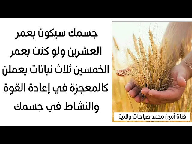 ⁣ستكون بقوة عمر العشرين ولو كنت قد تجاوزت الخمسين ثلاث نباتات كالمعجزة في إعادة القوة والنشاط لجسمك