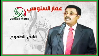 قلبي الطموح ـ عمار السنوسي 