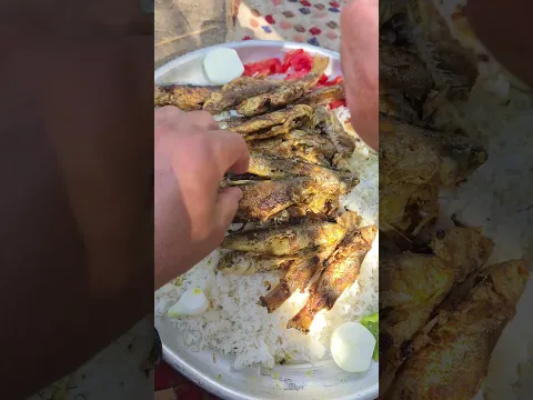 سمك الخشني
