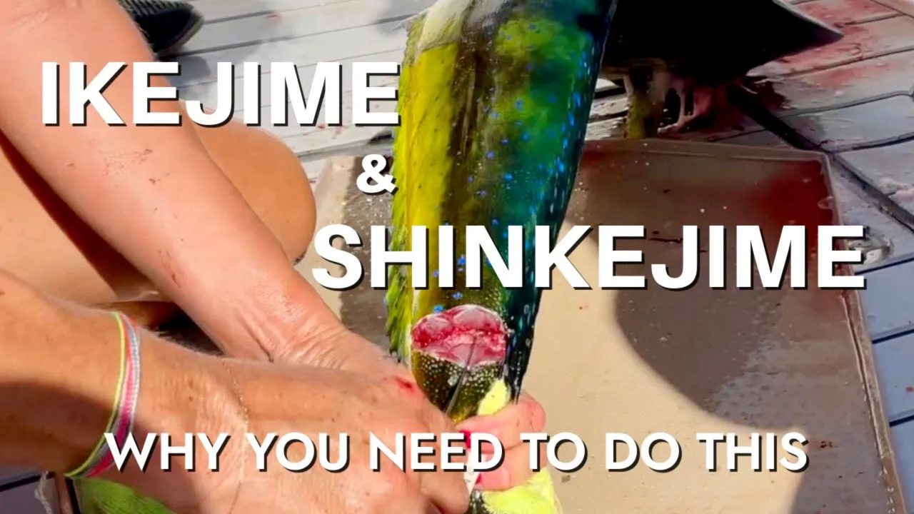 THIS WILL CHANGE YOUR LIFE: Ikejime & Shinkejime Like A Pro