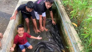 Download Ribuan Ikan Lele Hidup di Kolam Sekecil Ini, Kasihan Banget Ikan Lelenya MP3