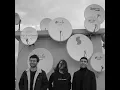 beach house - zebra (cover by postcards)