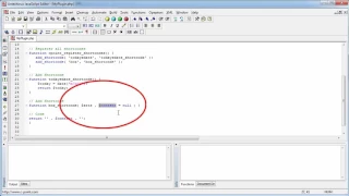 WP Master Developer Pro Demo - How to Code Editor for WordPress