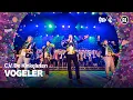 Lagu C.V. De Kinkeluten - Vogelèr • Carnaval Countdown 2026 // Sterren NL