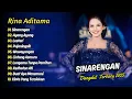 Download Lagu Rina Aditama - SINARENGAN - AYANG AYANG - LESTARI - PUJANINGSIH || DANGDUT TERBARU 2025