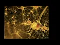 Neuroscience Data Visualize Collaborate Build Dr Stephen Larson