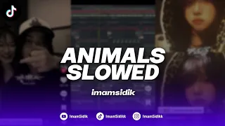 dj animals maroon 5 fyp viral tiktok trend 2026 yang kalian cari