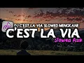 Download Lagu DJ C'Est La Via - Slowed Mengkane Trabas Style - Whyka Beat