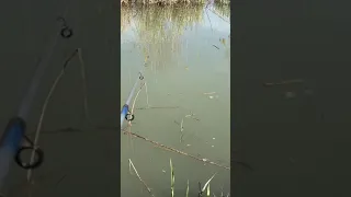 الصيد رزق حتي لو في ترعه 