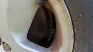                                     دندنها