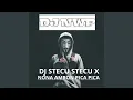 Download Lagu DJ STECU STECU X NONA AMBON PICA PICA