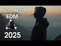 Download Lagu ALAN WALKER STYLE EDM || REMIX FADING ECHOES ||  AI MUSIC TV || BEST POPULAR SONG EDM 🔥🎧❤