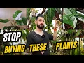 10 Houseplants I d NEVER Buy Again And What I d Get Instead