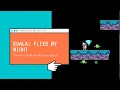 MakeCode Arcade Advanced - Koala Flies By Night