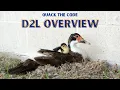 D2L Overview