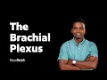 Brachial plexus The Upper Limb Nerve Map Simplified