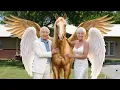 Mister Ed Then and Now 2026 Is Anyone Still Alive After 65 Years
