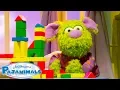 1 Hour of Pajanimals Full Episodes 1 Hour of Cartoons For Kids Pajanimals