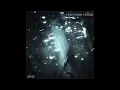 Yeah Yeah Yeahs - Down Boy