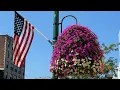 EarthPlanter Highlight - A Walk Through Downtown Auburn NY