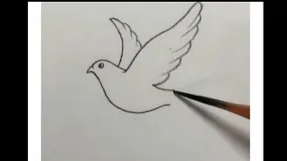 كيفية رسم حمامة السلام بطريقة مبسطة وسهلة جدا 