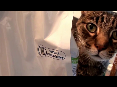 Download MP3 Royal Canin Veterinary Diet Urinary SO Dry Cat Food