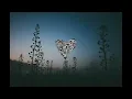 Illy Noize & Liza Flume - What We Called Love (Monkey Safari Remix)