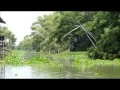 รักเก่าที่บ้านเกิด - เอกชัย ศรีวิชัย