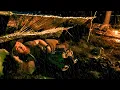 Download Lagu How to Survive in an EMERGENCY | No Tent, No Sleeping Bag [Survival Course Pt.1]