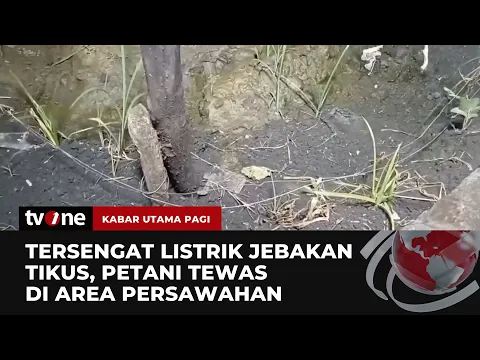 Alami Luka Bakar di Tubuh, Petani Tewas Tersengat Listrik