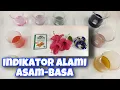 Lagu Indikator Alami Asam Basa || Natural Acid and Base Indicators || Fun In Chemistry