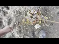 Tips Tricks on Wild Hog Trap design Coyote trapping Tips
