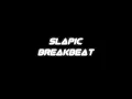 Dj Stadium Slapic 2021(BREAKBEAT)