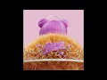 Lagu Ice Spice \u0026 Nicki Minaj - Princess Diana (AUDIO)