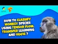 Transfer Learning Fine-tune a Pretrained VGG16 Model for Monkey Classification part 4
